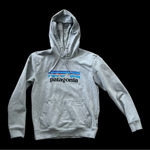 Patagonia Hoodie - Small